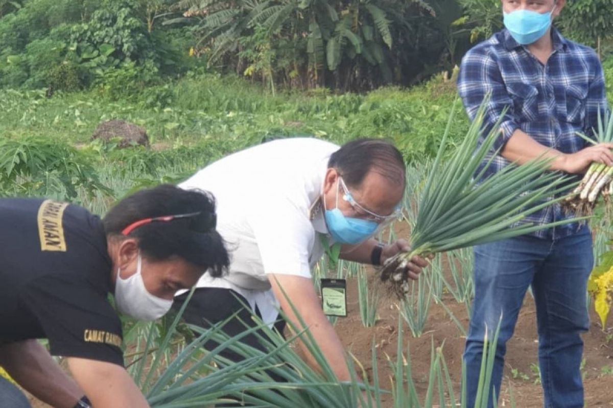 Wali Kota apresiasi hasil pertanian kaum milenial Bitung