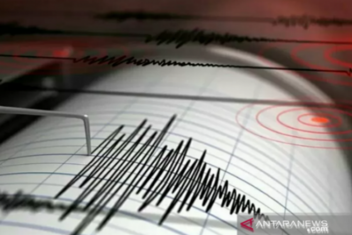 217 kali gempa susulan terjadi pascagempa Sumba