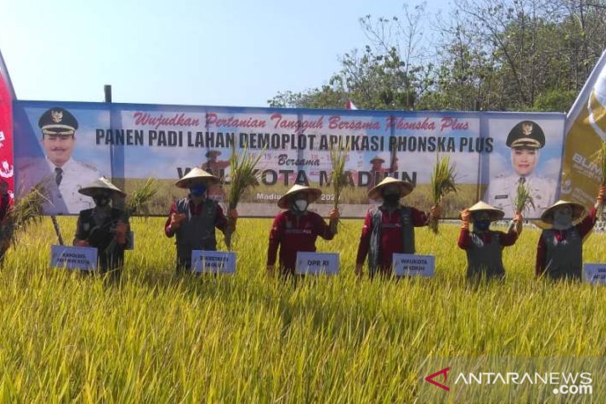 Disperta Kota Madiun beri pupuk gratis kepada puluhan kelompok tani