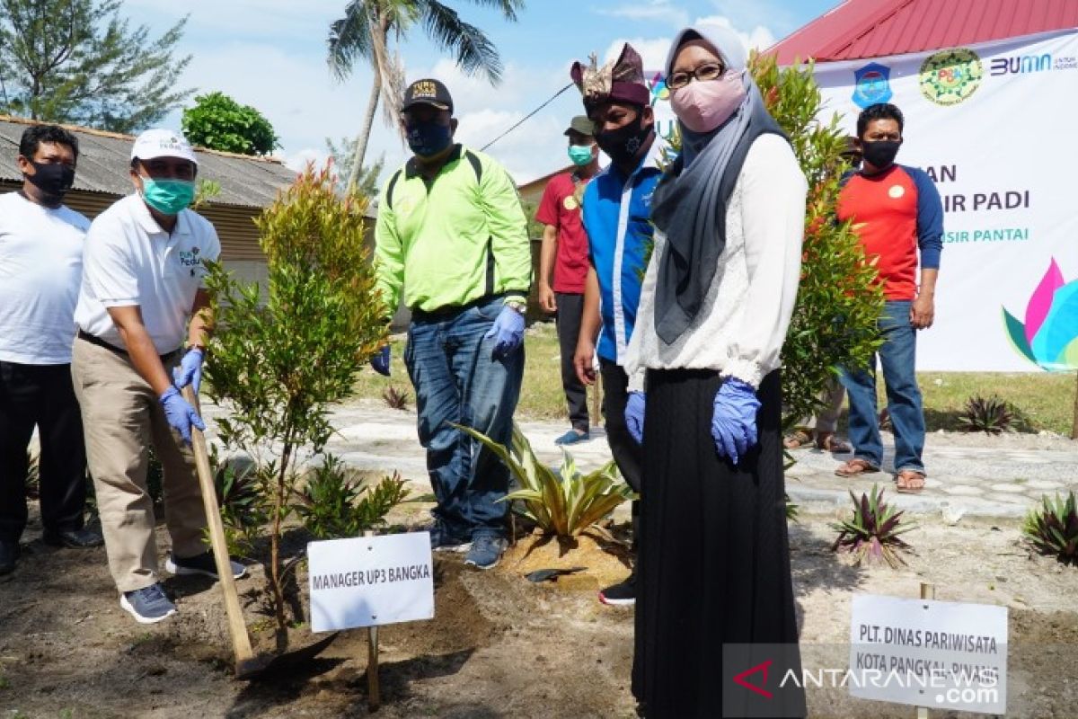 PLN Babel Bersama Kelompok Sadar Wisata Tanam 1.000 Pohon