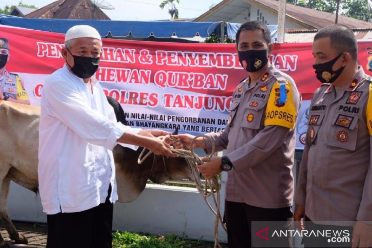Polres Tanjungbalai serahkan  dua sapi kurban ke pengurus Masjid
