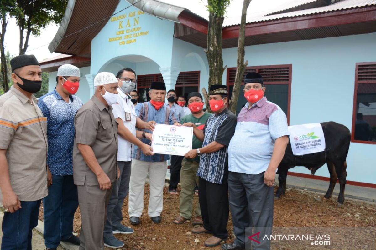 PT Semen Padang bagikan 25 ekor hewan kurban untuk Padang, Dumai dan Aceh