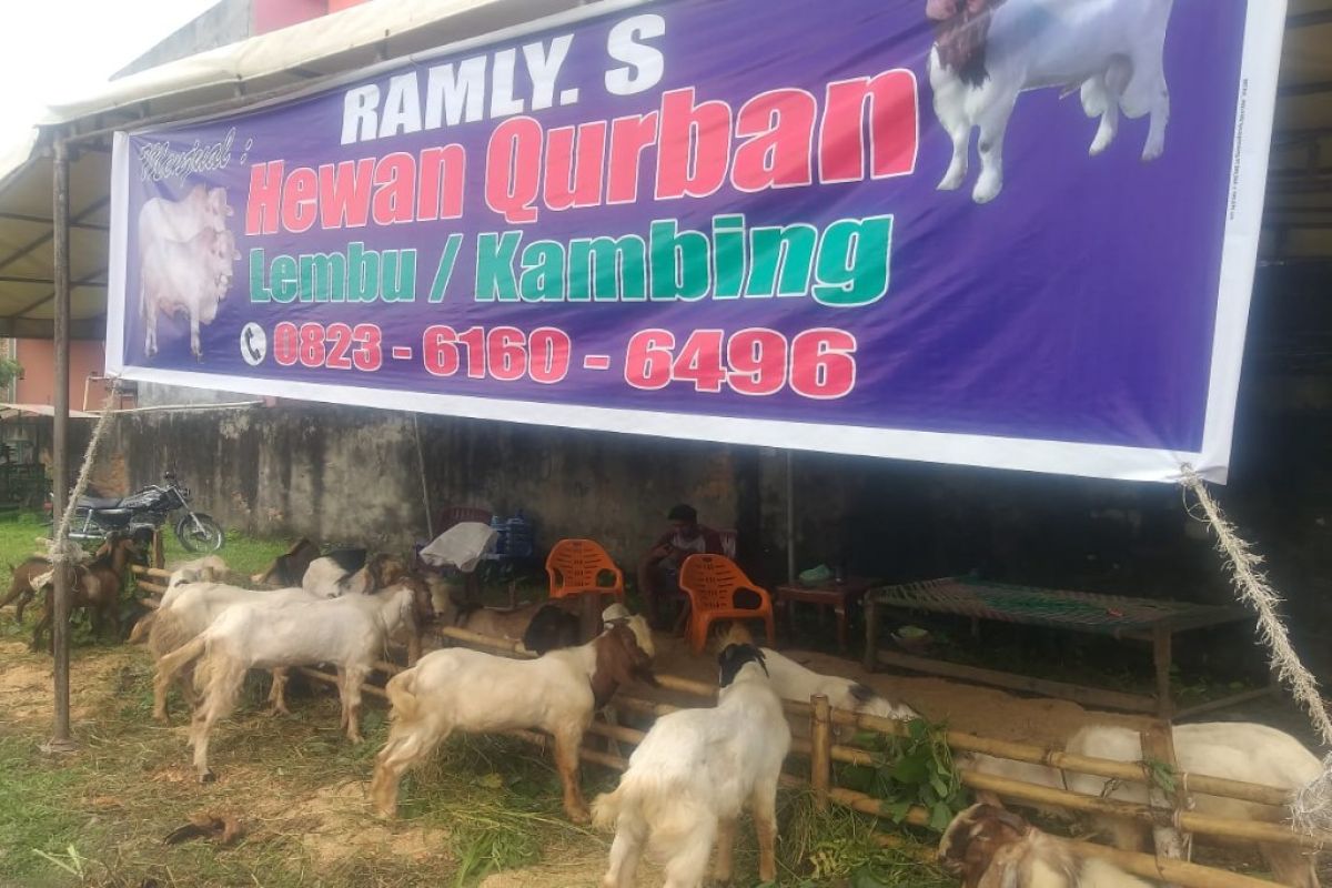 Penjualan hewan kurban di Medan tidak terpengaruh pandemI COVID-19