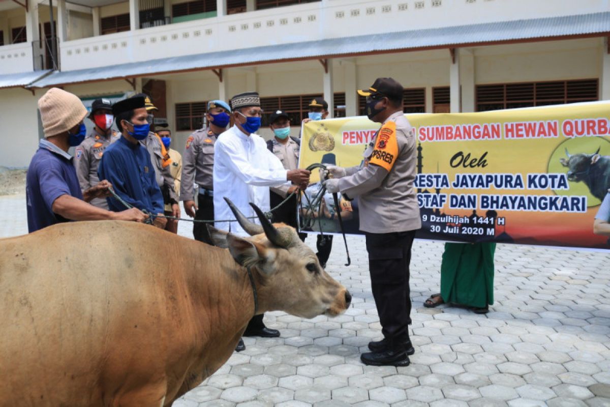 Pesantren dan panti asuhan di Jayapura disumbang hewan kurban