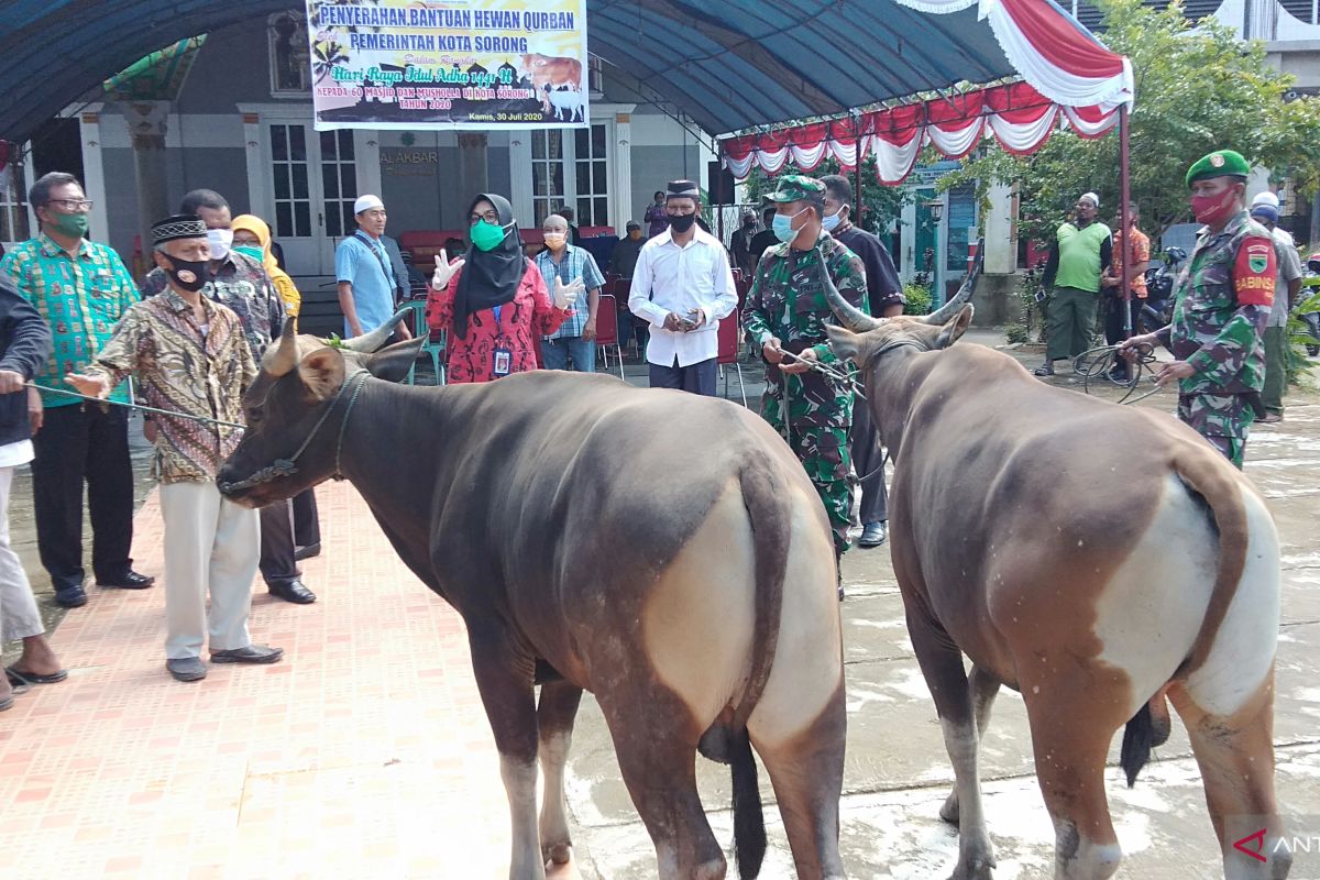 Pemkot Sorong serahkan 60 hewan kurban kepada masjid