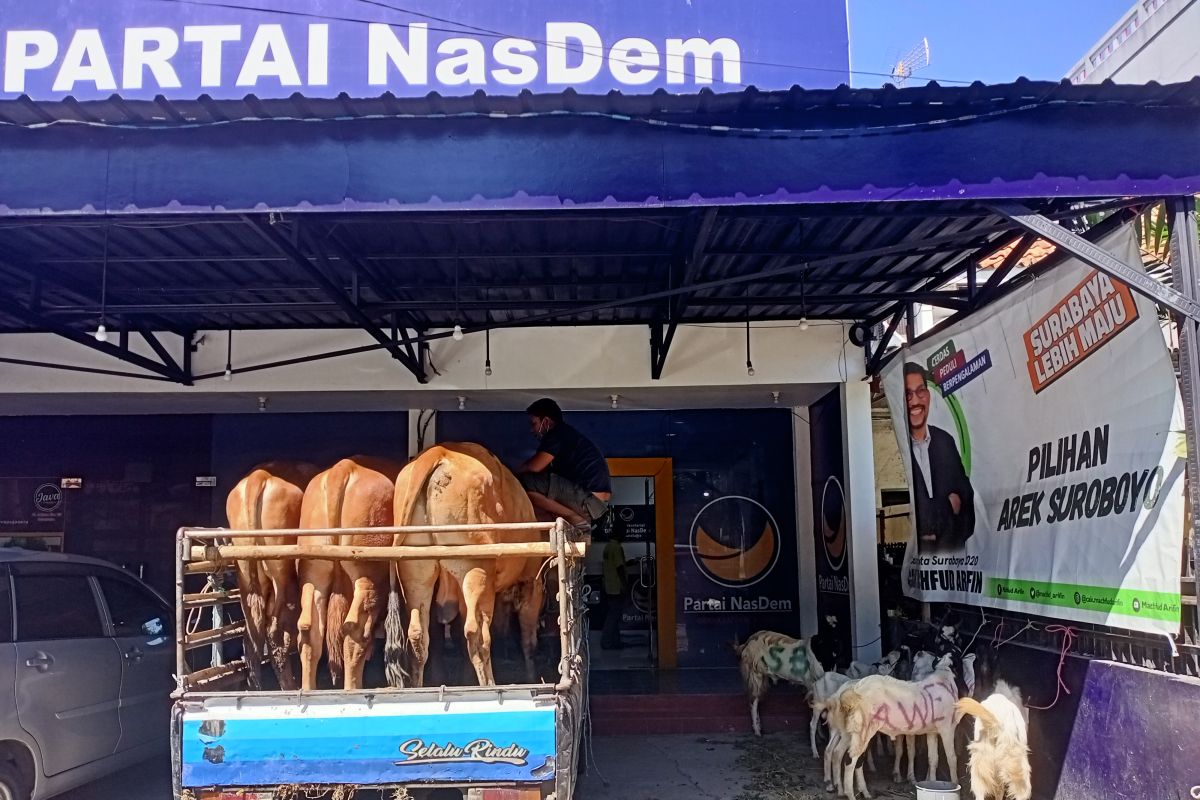 Nasdem Surabaya berkurban tiga sapi dan 12 kambing