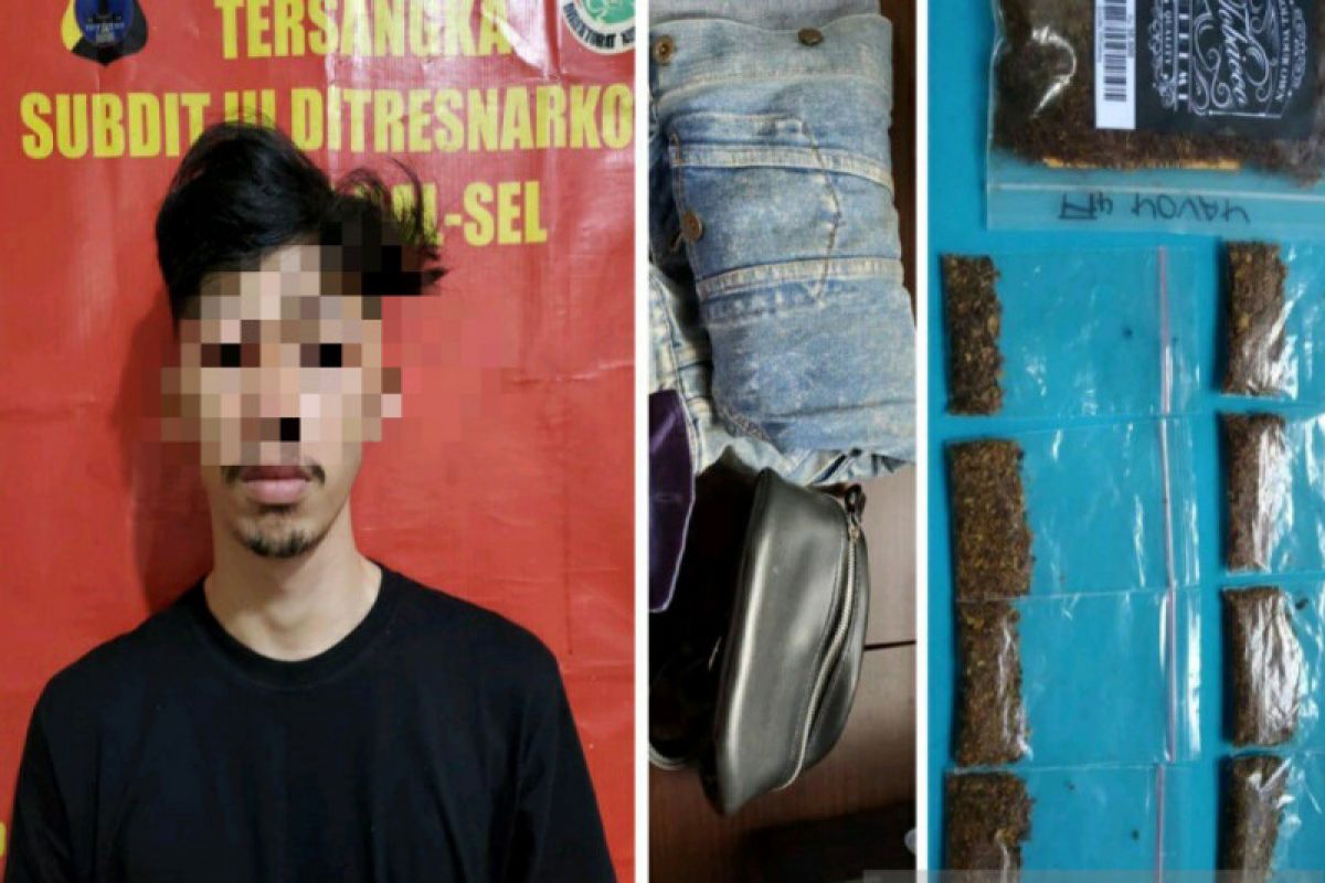 Mahasiswa edarkan tembakau gorila ditangkap polisi