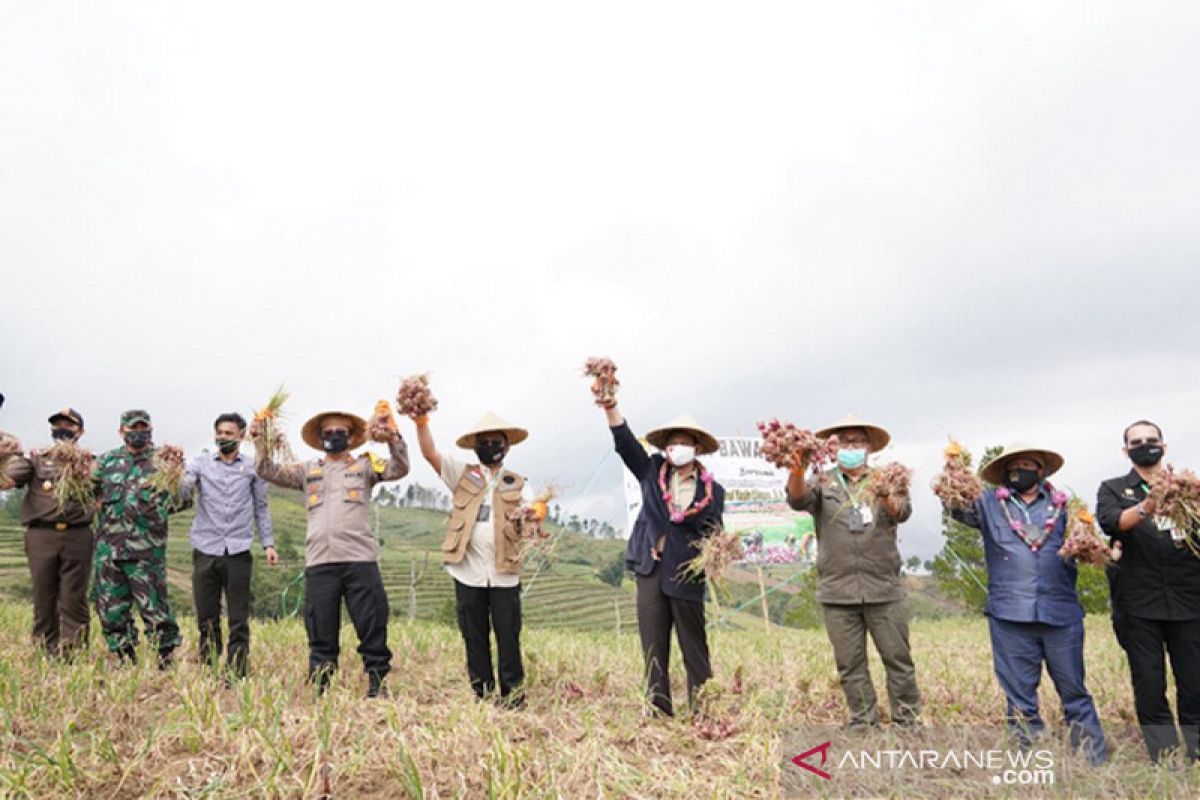 Mentan berikan bantuan Rp13 miliar kepada petani Bantaeng