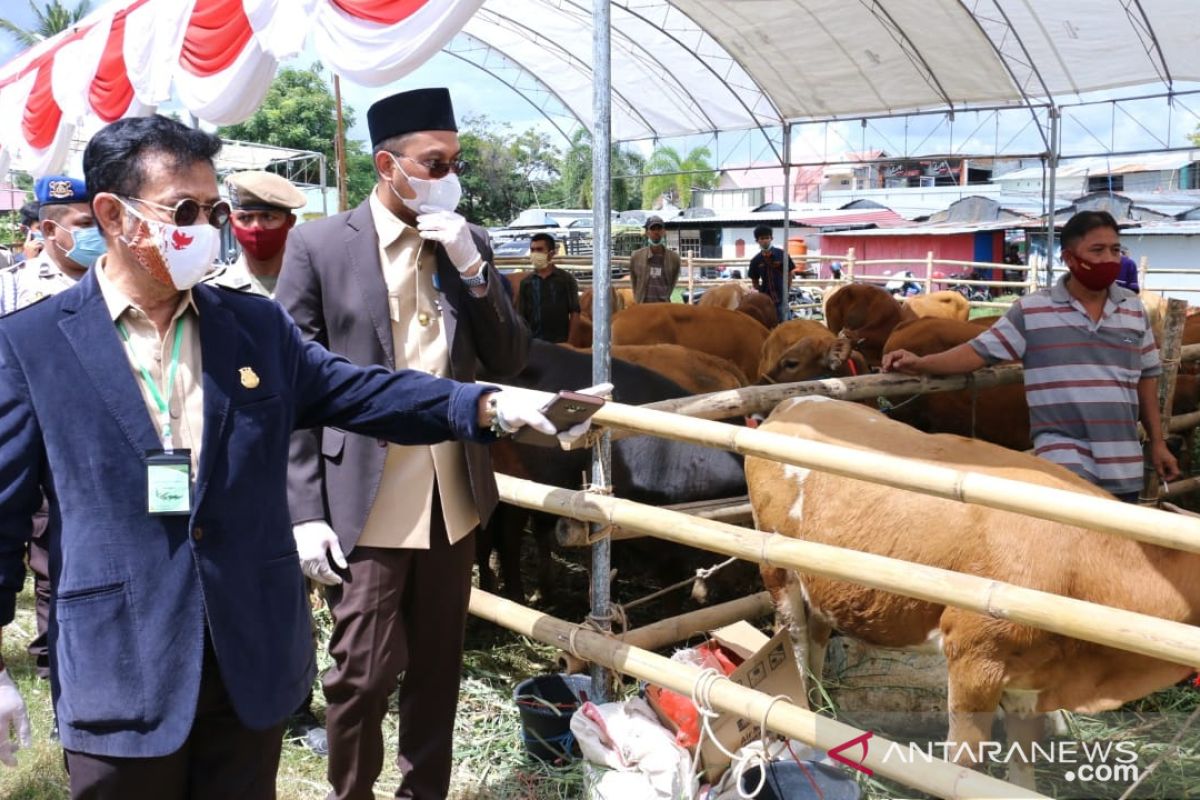 Panen pedet, Mentan dorong produksi ternak sapi di Sulawesi Selatan