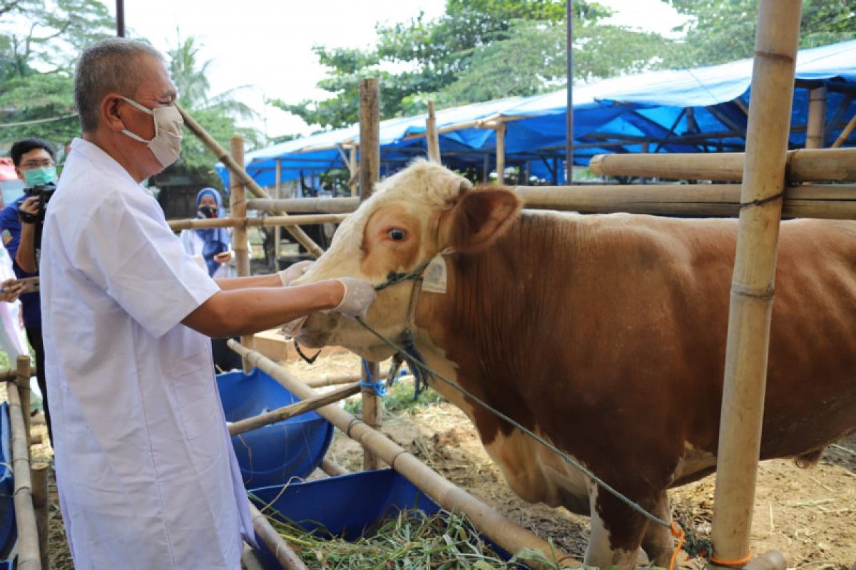 Sudin KPKP Jaksel kerah 150 pengawas penyembelihan kurban