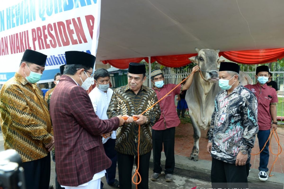 Jokowi serahkan sapi kurban seberat 1 Ton ke Masjid Istiqlal