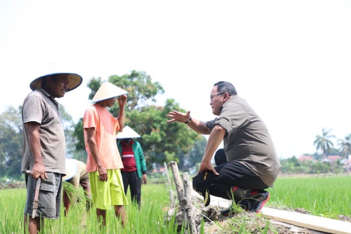 Bupati Musi Banyuasin dialog dengan petani, serap aspirasi