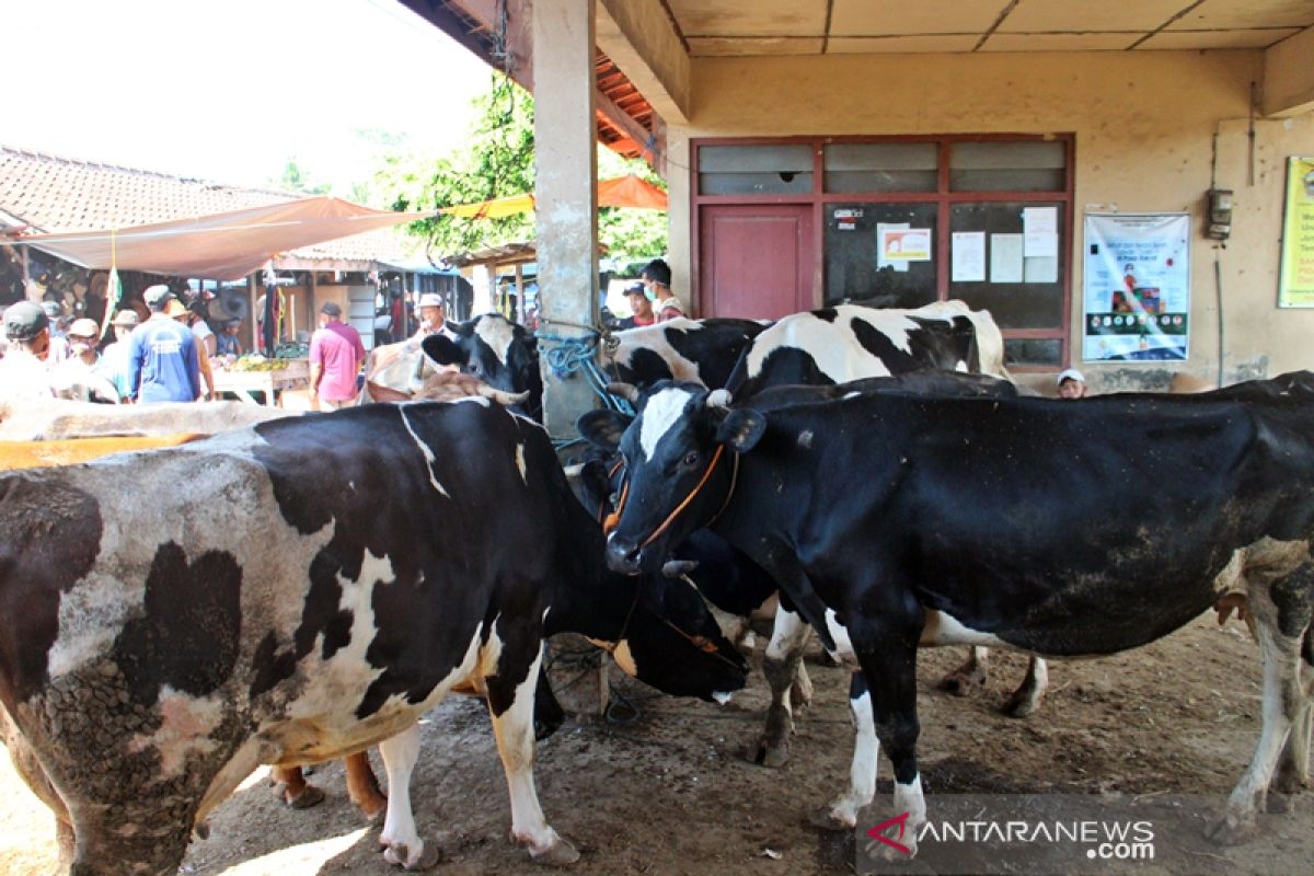 Kemenag Boyolali: Penyembelihan kurban ikuti protokol kesehatan