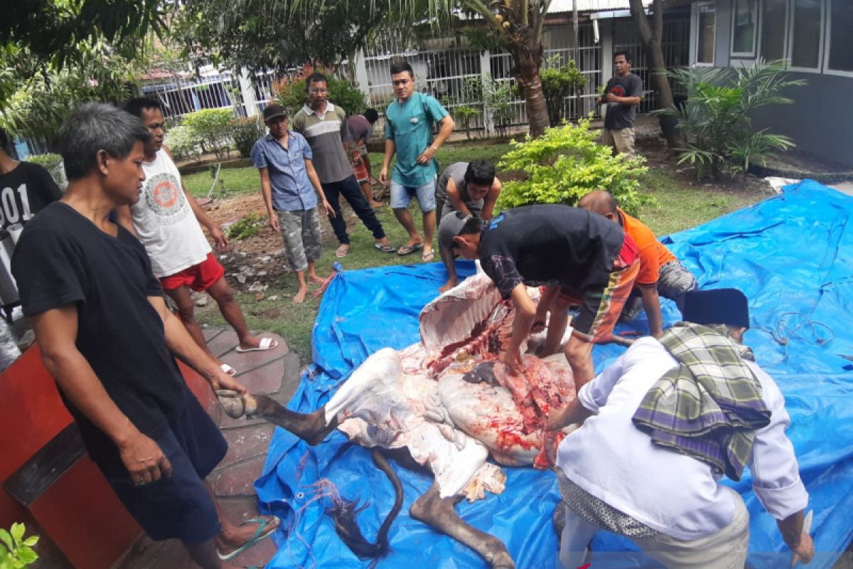 Dapat sumbangan dua sapi kurban, warga binaan Lapas Padang makan kalio dan sup daging bersama