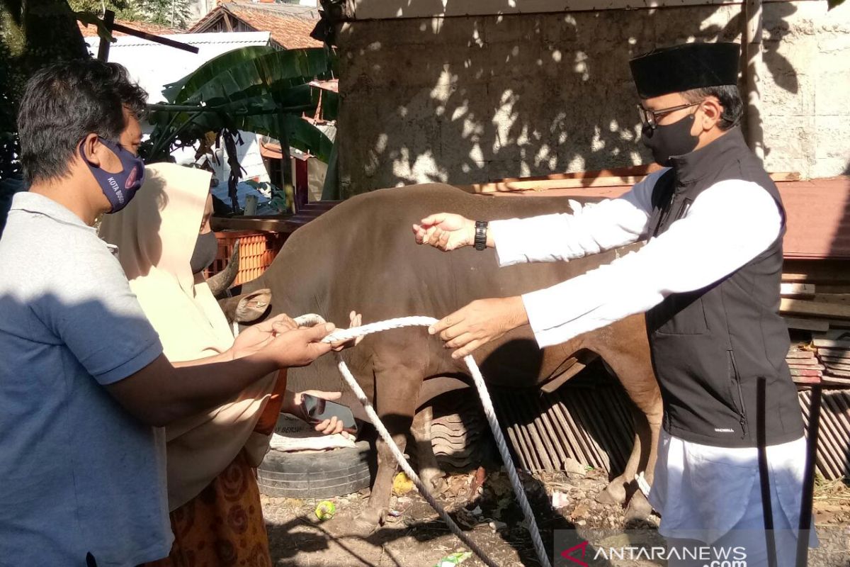 Wali Kota Bogor menyerahkan hewan kurban ke Kampung Cikeas