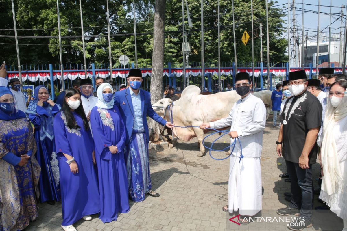 Demokrat kurban 15 ekor sapi dan 4.650 kemasan rendang pada masyarakat