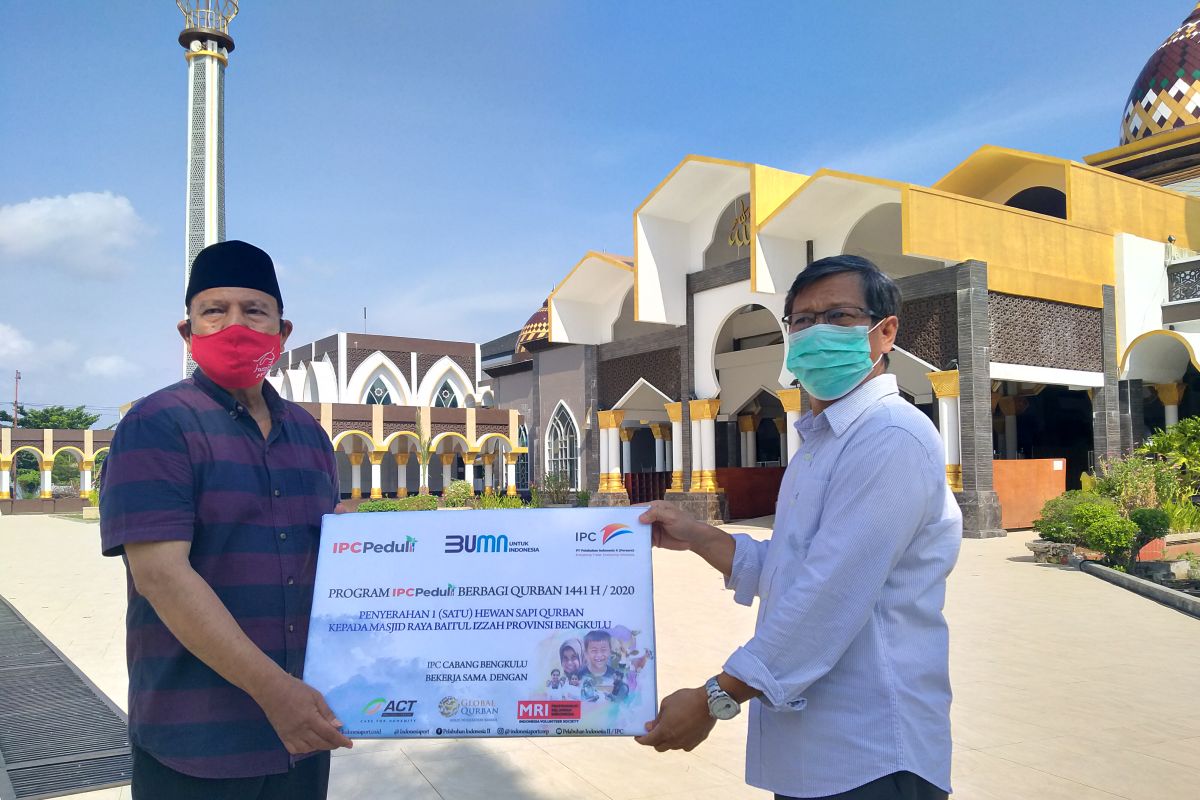 Pelindo Bengkulu salurkan sapi kurban ke lima masjid