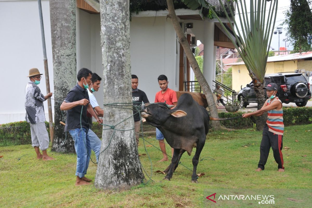 Gubernur Sumbar Lakukan Ibadah Qurban di Padang