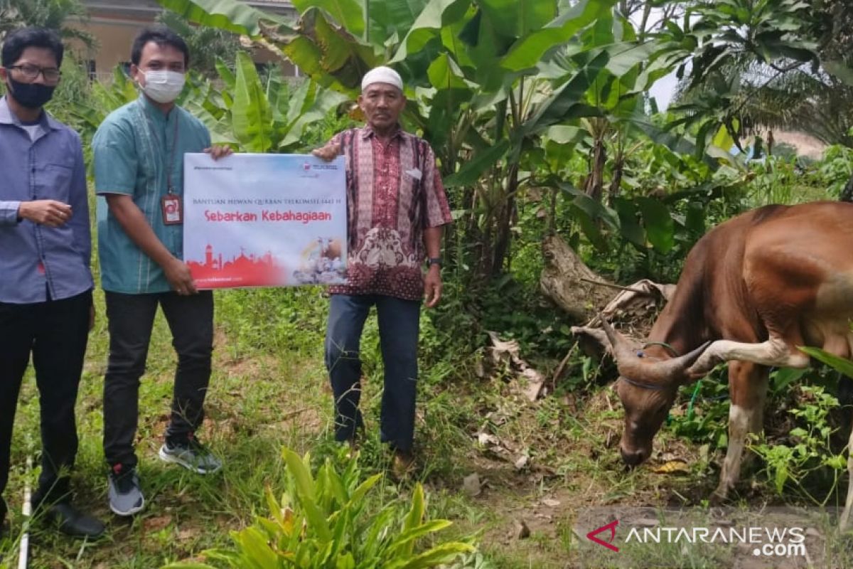 Telkomsel Serahkan Bantuan 777 Hewan Kurban