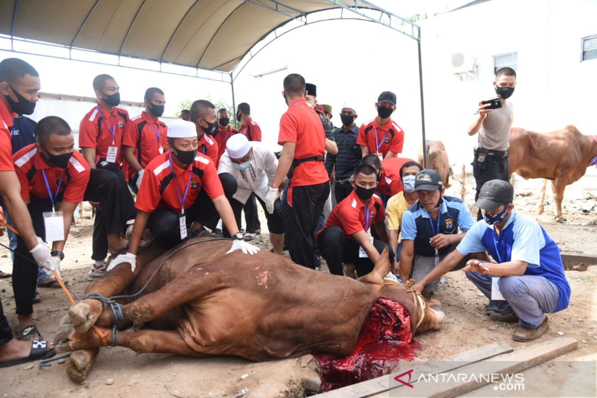 Waspadai transmisi COVID-19 saat ibadah kurban, sebut pakar