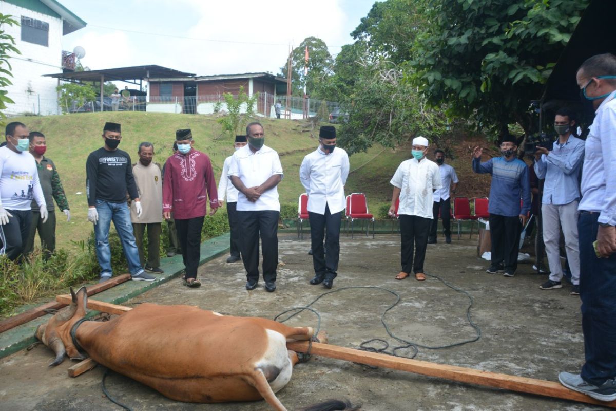Kodam XVII/Cenderawasih sembelih 10 ekor hewan kurban untuk warga Jayapura