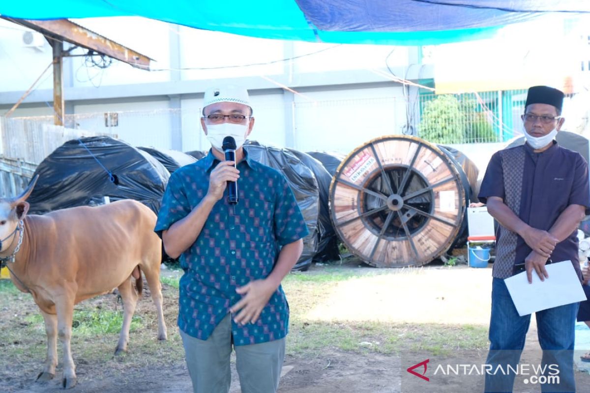 PLN UIW Sulselrabar salurkan 16 ekor hewan kurban di Makassar