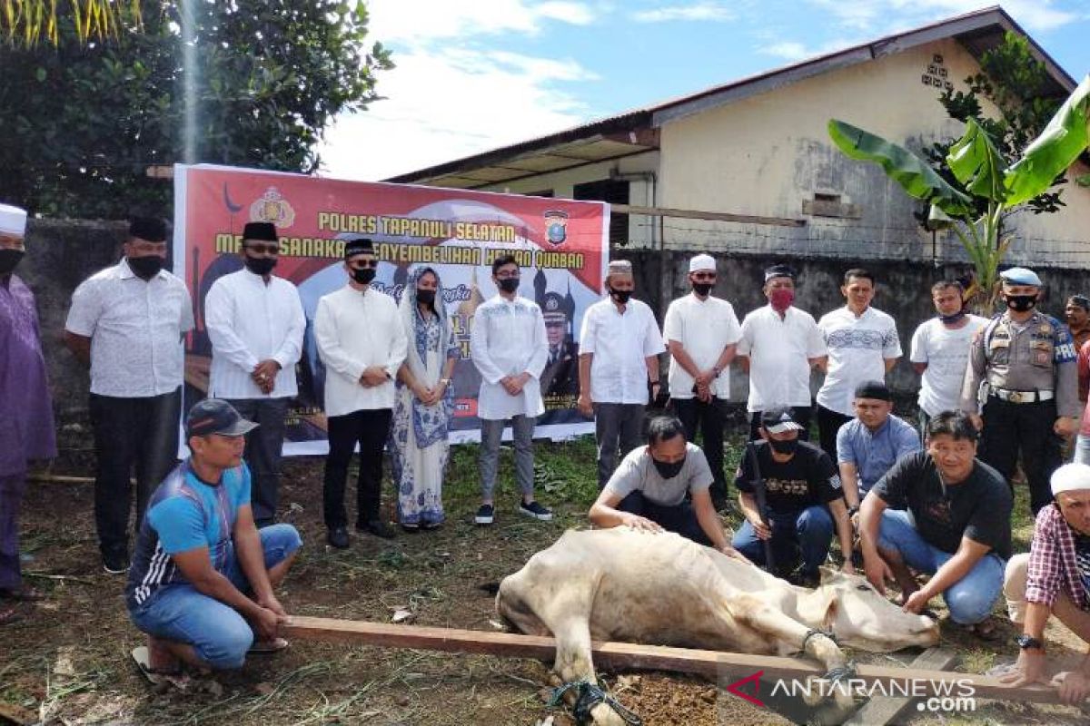 Polres Tapanuli Selatan sembelih 12 hewan kurban