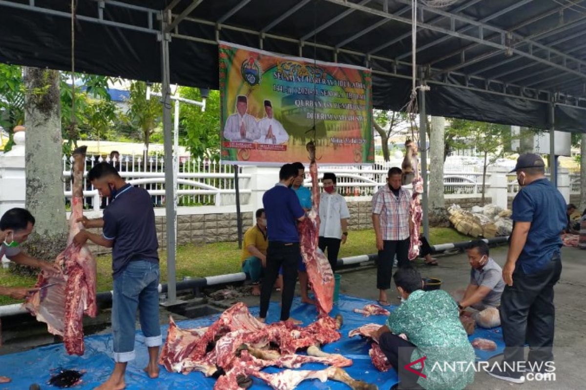 Pemprov Sumut kurbankan 145 ekor sapi