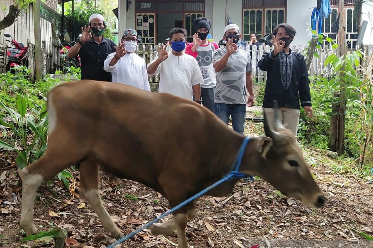 Indocement serahkan sapi untuk kurban kepada awak jurnalis