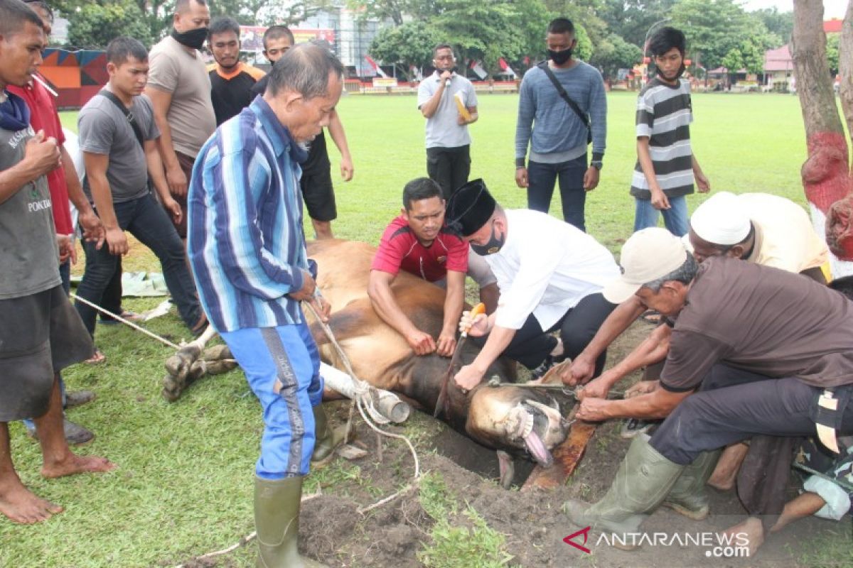 Satuan Brimob Polda Sumut kurbankan 22 ekor hewan