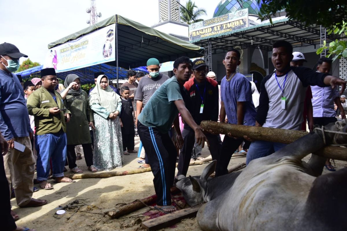 Kasmarni sebut berkurban makna berbagi dan wujud rasa syukur