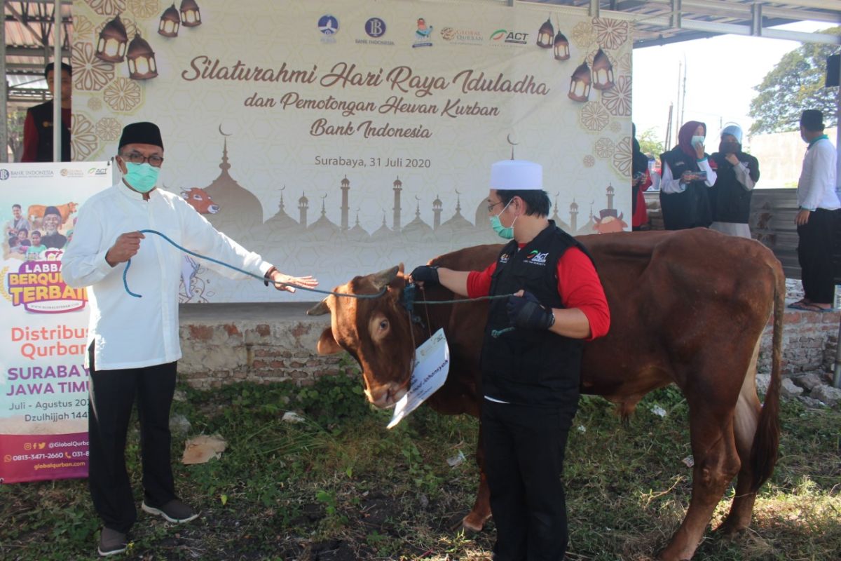 ACT-BI Jatim salurkan daging kurban pada warga terdampak COVID-19