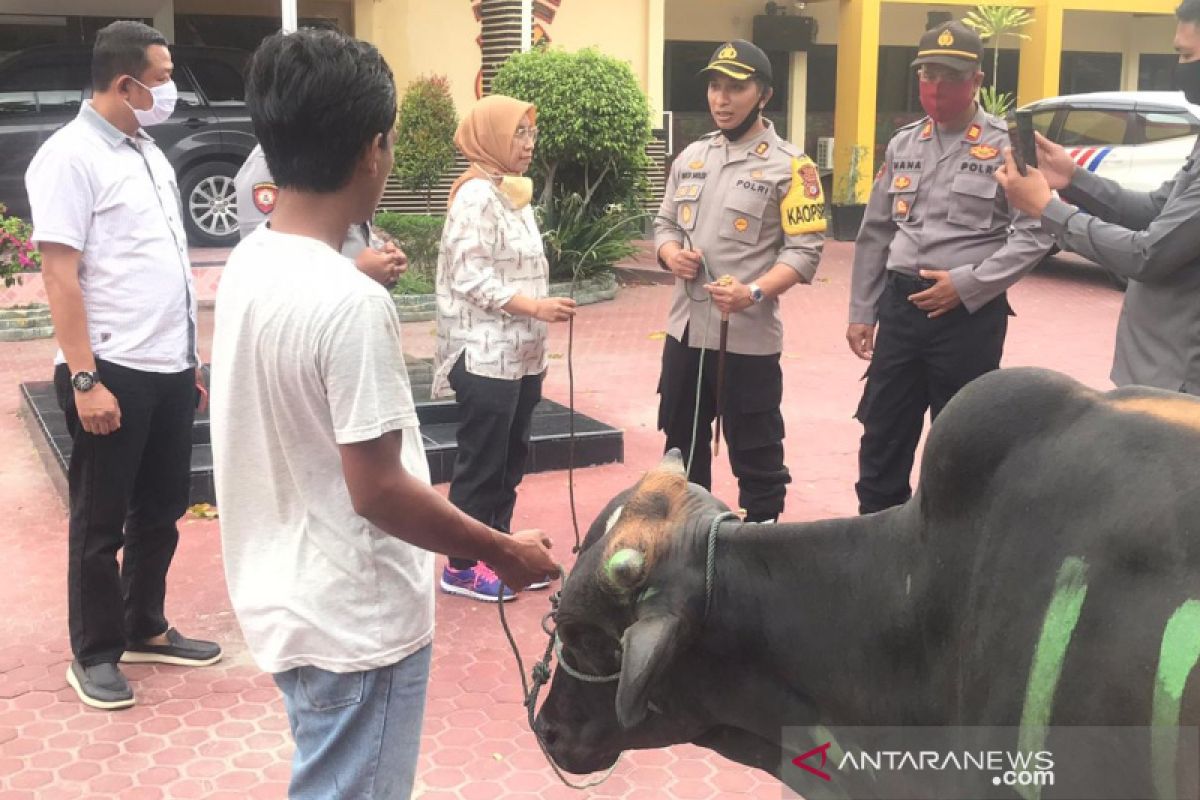 Polres Palu siapkan 14 ekor hewan kurban Idul Adha