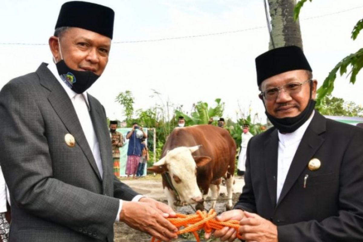 Gubernur Sulsel wakili Presiden Jokowi serahkan sapi kurban di Jeneponto