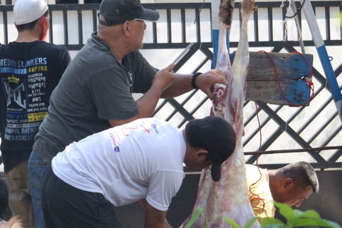 Pemotongan hewan kurban di tengah pandemi COVID-19, tetap patuhi protokol kesehatan