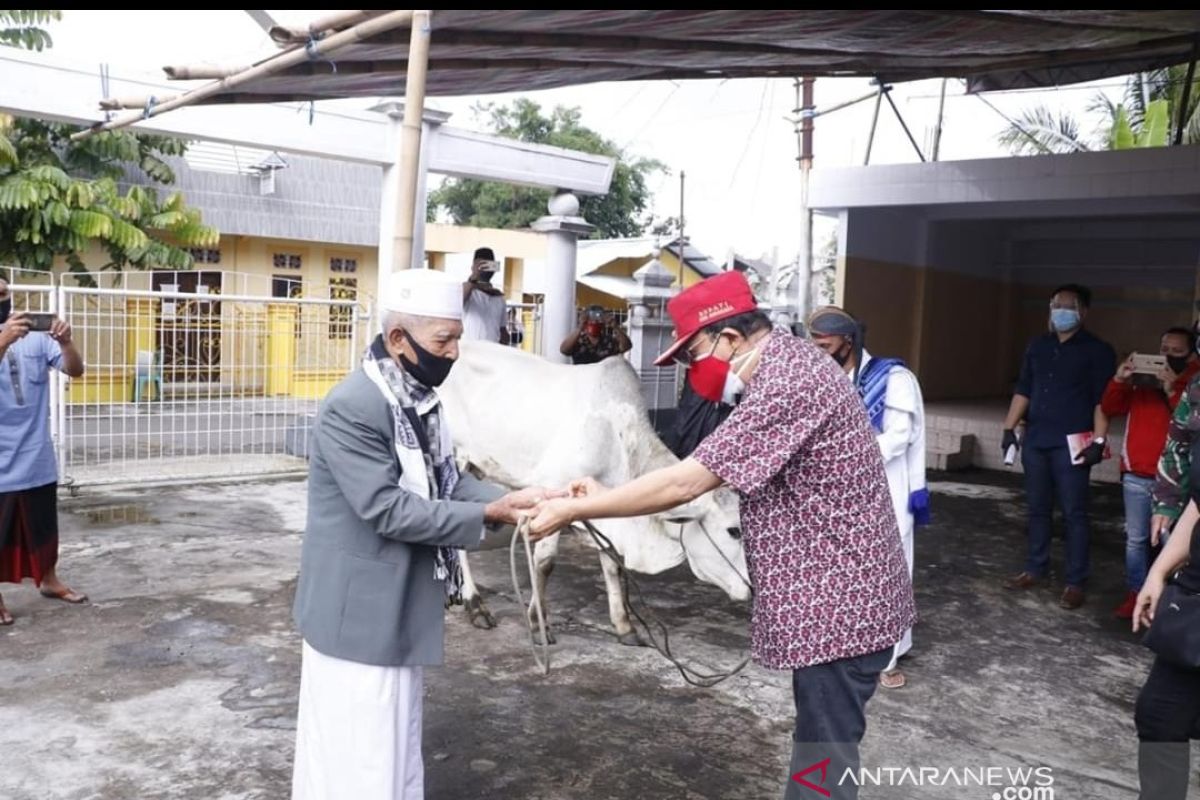 Bupati Minahasa serahkan hewan kurban di 33 masjid