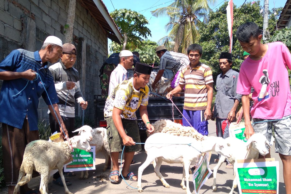 Warga Situbondo serahkan hewan kurban ke yayasan untuk penyembelihannya