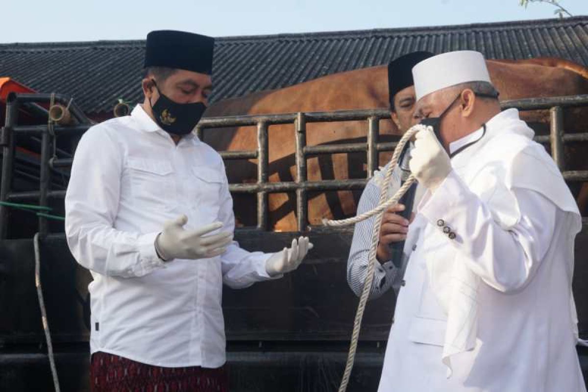 Hindari kerumunan, pemotongan hewan kurban Masjid An-Nur dialihkan ke RPH