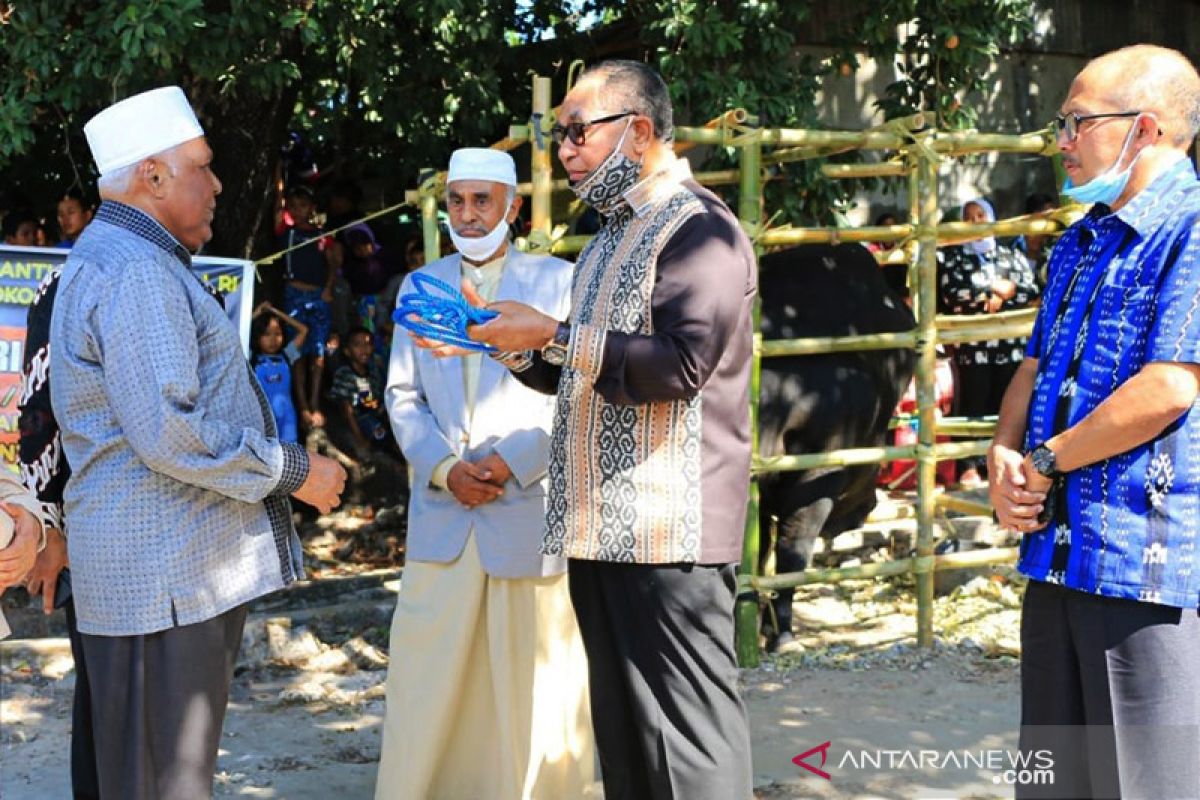 Wakil Gubernur NTT serahkan hewan kurban bantuan presiden