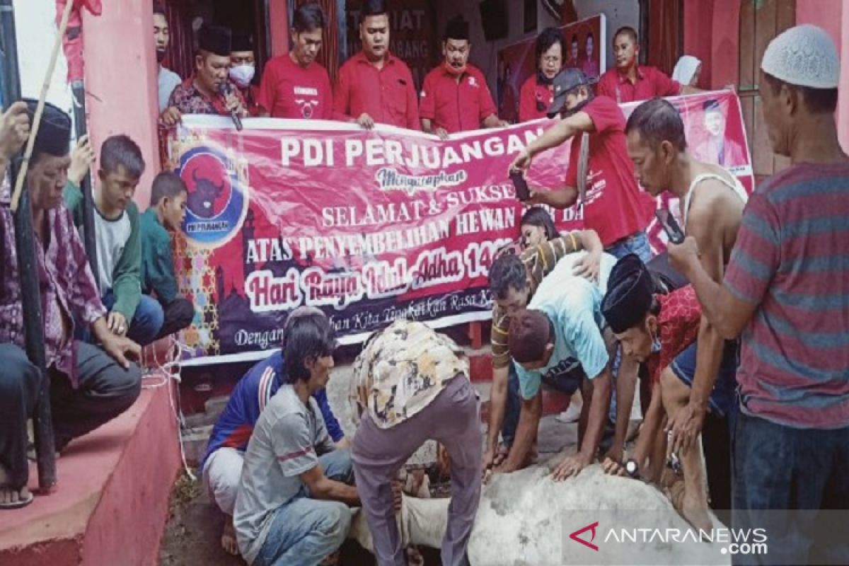 DPC PDI Perjuangan Sibolga berkurban satu ekor sapi dan kerbau