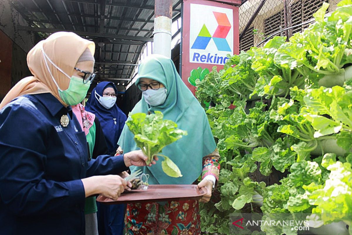 Rekind dukung program ketahanan pangan warga Jakarta