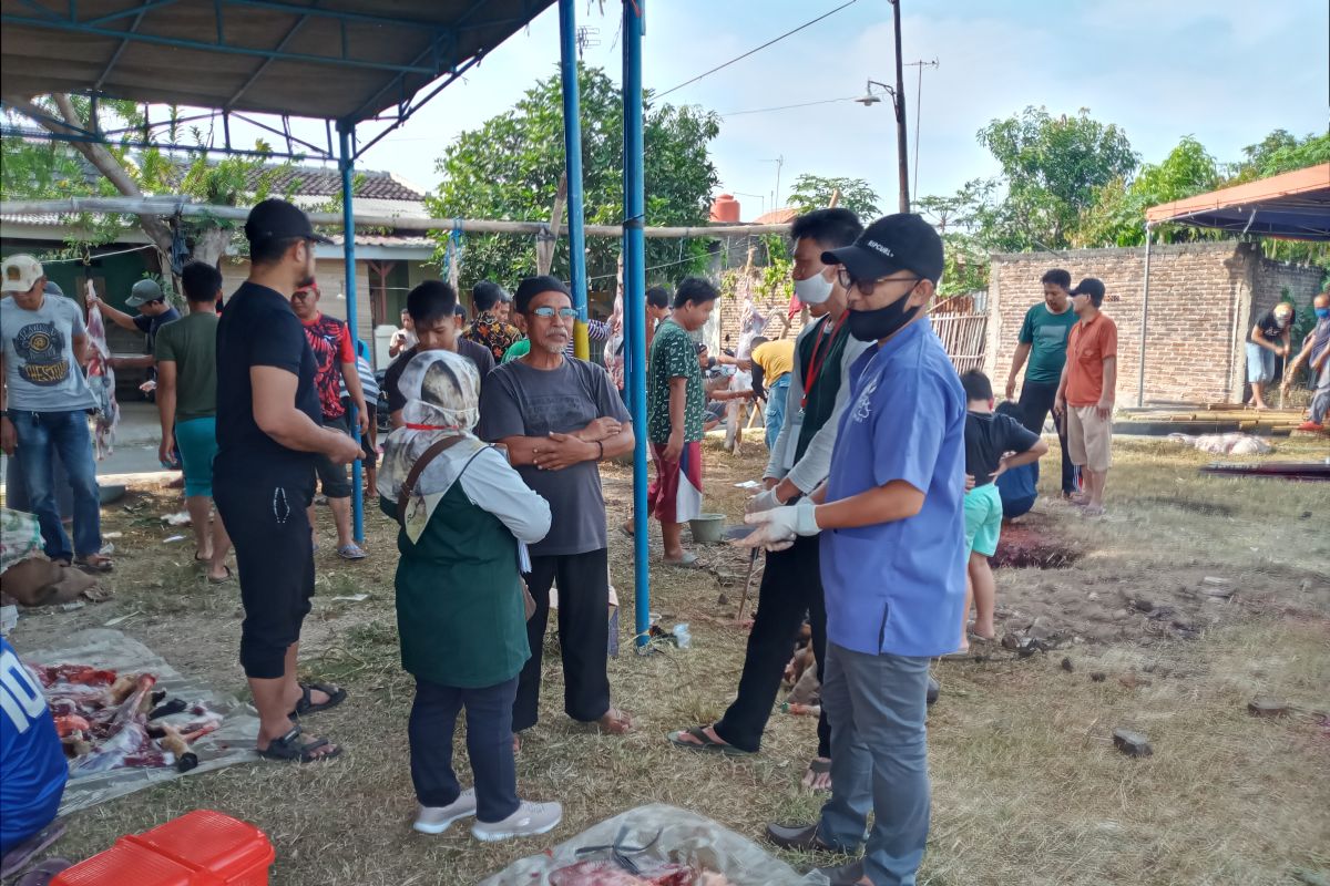 Distan Provinsi Banten pastikan pemotongan hewan kurban taat protokol kesehatan