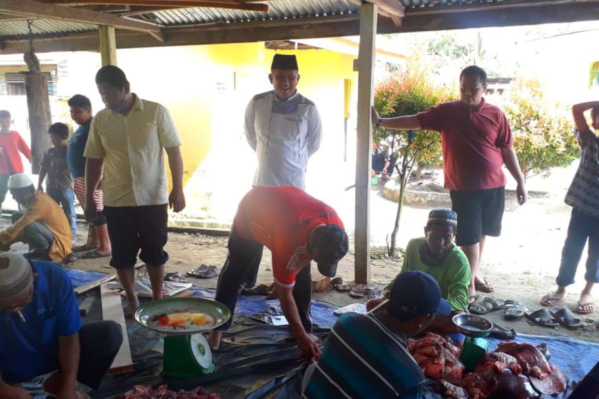 Camat Bandar Laksamana tinjau penyembelihan kurban