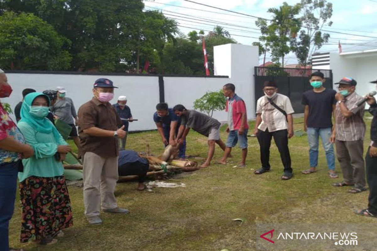 Puluhan ASN Dinsos Kalteng sisihkan uang setahun demi berkurban