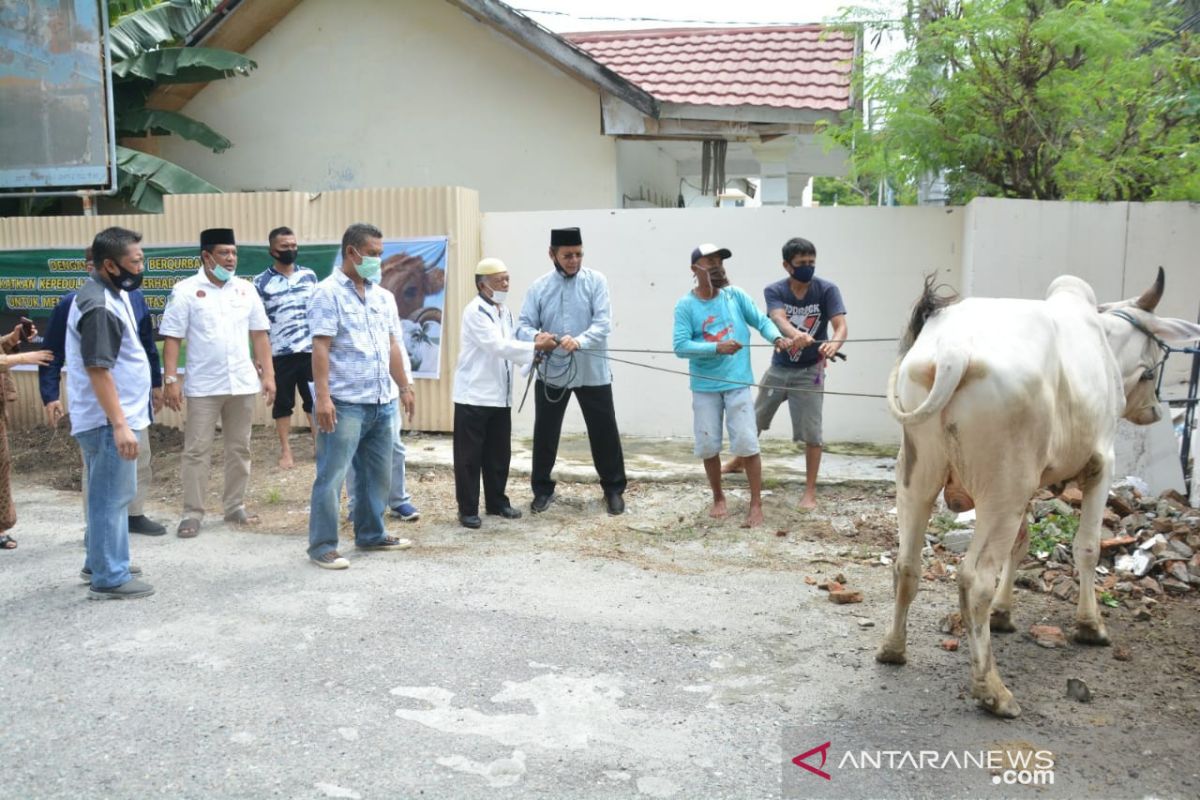 Pemprov Sulteng sembelih 166 ekor hewan kurban