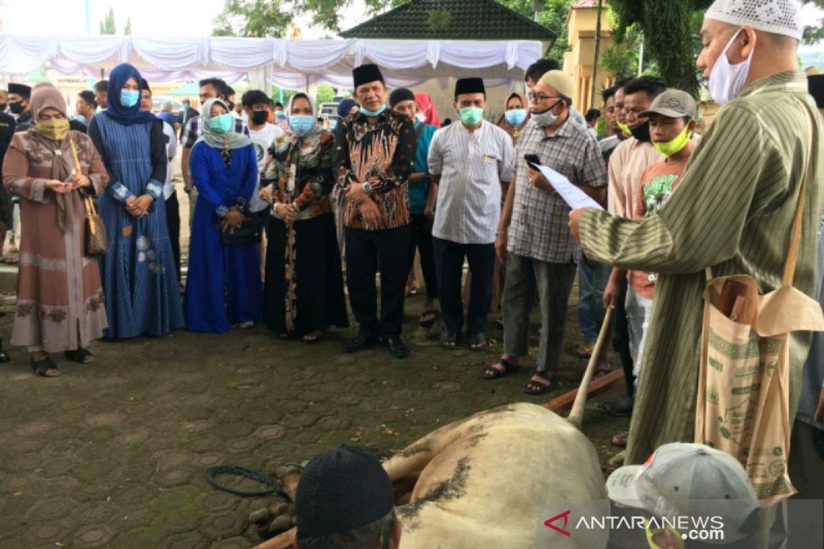 Pemkot Padangsidimpuan sembelih 9 hewan kurban