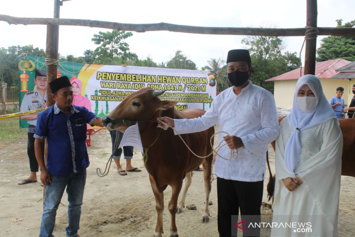 Polres Bangka Tengah sembelih delapan ekor hewan kurban