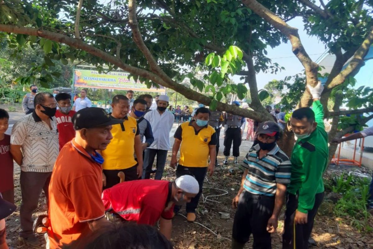 Polres Binjai sembelih delapan ekor sapi dan enam ekor kambing