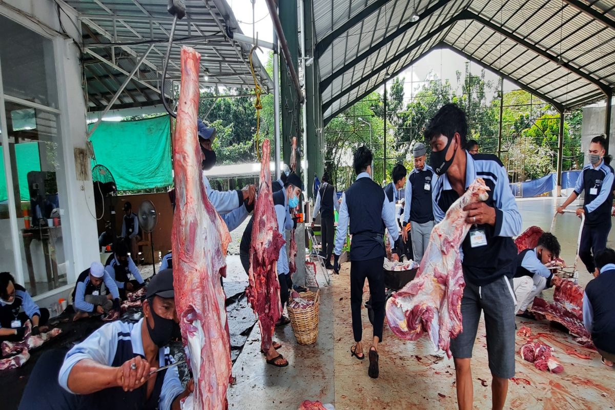 Pekurban bagikan sendiri daging ke masyarakat