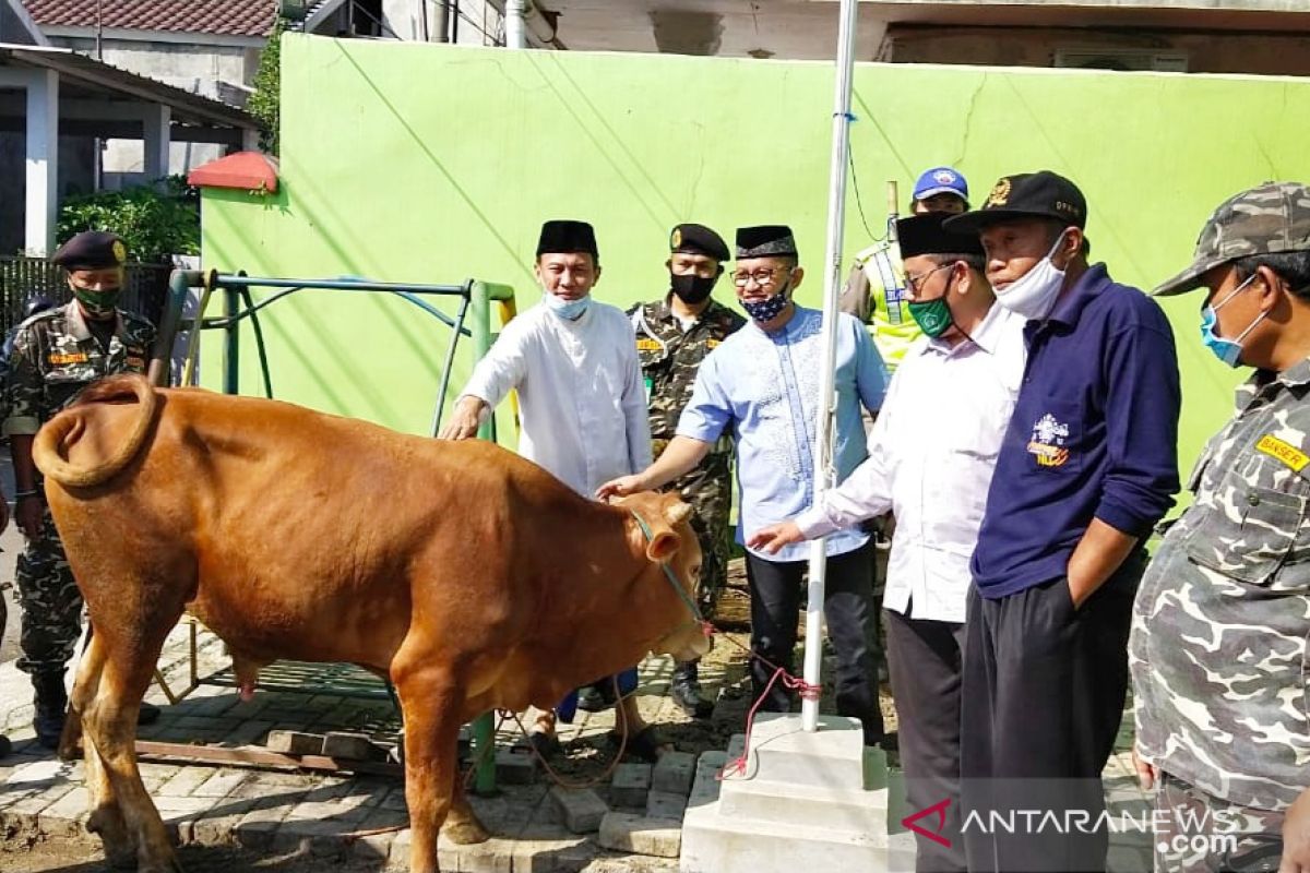 PCNU Bogor libatkan Banser kawal penerapan protokol kesehatan saat penyembelihan hewan kurban